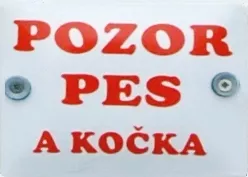 text 14